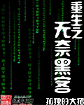 《重生之无奈黑客》（校对版全本）作者：孤独的大猪 百度云txt全集下载 封面