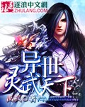 《异世灵武天下》（校对版全本）作者：禹枫 百度云txt全集下载 封面