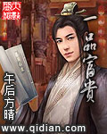 《一品富贵》（校对版全本）作者：午后方晴 百度云txt全集下载 封面