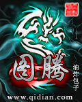 《图腾》（校对版全本）作者：油炸包子 百度云txt全集下载 封面