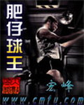《肥仔球王》（校对版全本）作者：宏峰 百度云txt全集下载 封面