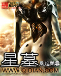 《星墓》（校对版全本）作者：风起闲云 百度云txt全集下载 封面