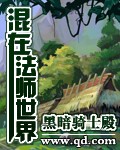 《混在法师世界》（校对版全本）作者：黑暗骑士殿 百度云txt全集下载 封面