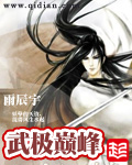 《武极巅峰》(校对版全本)作者:雨辰宇 百度云txt全集下载 封面