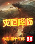 《灾厄降临》（校对版全本）作者：黑十三郎 百度云txt全集下载 封面