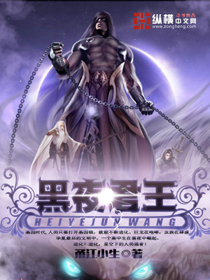 《黑夜君王》（校对版全本）作者：甬江小生 百度云txt全集下载 封面