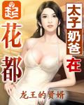 《太子奶爸在花都》(校对版全本)作者:龙王的贤婿 百度云txt全集下载 封面