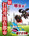 《打怪升级在都市》(校对版全本)作者:熊猫胖大 百度云txt全集下载 封面
