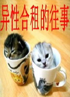 《异性合租的往事》（校对版全本）作者：王亚奇 百度云txt全集下载 封面