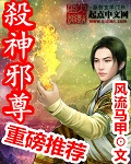 《杀神邪尊》（校对版全本）作者：风流马甲 百度云txt全集下载 封面