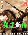 《张辽新传》（校对版全本）作者：杨家大郎 百度云txt全集下载 封面