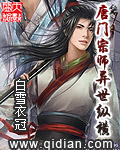 《唐门宗师异世纵横》（校对版全本）作者：白雪衣冠 百度云txt全集下载 封面