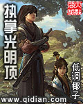 《执掌光明顶》（校对版全本）作者：低调椰子 百度云txt全集下载 封面