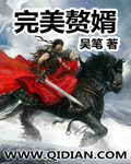 《完美赘婿》（校对版全本）作者：吴笔 百度云txt全集下载 封面