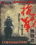 《抗战独裁者》（校对版全本）作者：莫少卿 百度云txt全集下载 封面