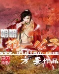 《明朝第一公子》（校对版全本）作者：方景 百度云txt全集下载 封面