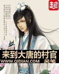 《来到大唐的村官》（校对版全本）作者：吴笔 百度云txt全集下载 封面