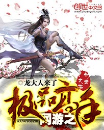 《网游之极品高手》（校对版全本）作者：龙大人来了 百度云txt全集下载 封面
