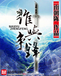 《谁与争锋》（校对版全本）作者：南朝陈 百度云txt全集下载 封面
