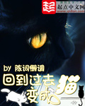《回到过去变成猫》(精校版全本)作者:陈词懒调 百度云txt全集下载 封面
