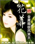 《花尊》(校对版全本)作者:金庸隐徒风笑天 百度云txt全集下载 封面