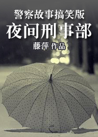 《夜间刑事部》（校对版全本）作者：藤萍 百度云txt全集下载 封面