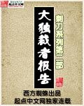 《大独裁者报告》（校对版全本）作者：西方蜘蛛 百度云txt全集下载 封面