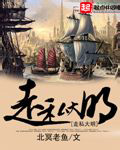 《走私大明》(校对版全本)作者:北冥老鱼 百度云txt全集下载 封面