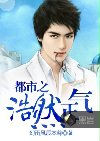 《都市之浩然正气》(校对版全本)作者:幻雨风辰本尊 百度云txt全集下载 封面