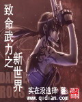 《致命武力之新世界》（校对版全本）作者：实在没选择 百度云txt全集下载 封面