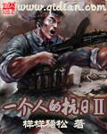 《一个人的抗日Ⅱ》（校对版全本）作者：样样稀松 百度云txt全集下载 封面