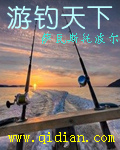 《游钓天下》（校对版全本）作者：萨瓦斯托波尔 百度云txt全集下载 封面