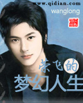 《荣飞的梦幻人生》（校对版全本）作者：wanglong 百度云txt全集下载 封面