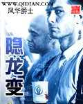 《隐龙变》（校对版全本）作者：风华爵士 百度云txt全集下载 封面
