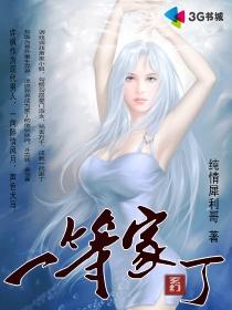 《一等家丁》(校对版全本)作者:纯情犀利哥 百度云txt全集下载 封面