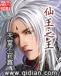 《仙王之王》(校对版全本)作者:天堂不寂寞 百度云txt全集下载 封面