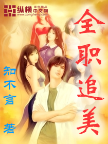 《全职追美》（校对版全本）作者：知不言 百度云txt全集下载 封面