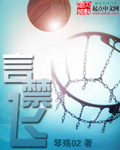 《言禁飞》（校对版全本）作者：琴殇02 百度云txt全集下载 封面