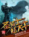 《圣骑士赵大牛》（校对版全本）作者：夜色访者 百度云txt全集下载 封面