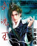 《武魂王》(校对版全本)作者:至尊武魂 百度云txt全集下载 封面