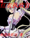 《红衣执政官》(校对版全本)作者:相思洗红豆 百度云txt全集下载 封面