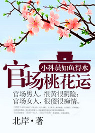 《官道之步步高升(官场桃花运)》（校对版全本）作者：北岸 百度云txt全集下载 封面