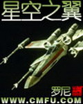 《星空之翼》(校对版全本)作者:罗尼 百度云txt全集下载 封面