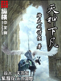《天神下凡》（校对版全本）作者：烽火戏诸侯 百度云txt全集下载 封面