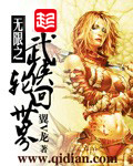 《无限之武侠轮回世界》（校对版全本）作者：翼V龙 百度云txt全集下载 封面