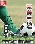 《完美中场》（校对版全本）作者：冒青烟 百度云txt全集下载 封面