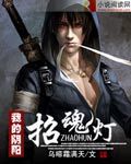 《我的阴阳招魂灯》(校对版全本)作者:乌啼霜满天 百度云txt全集下载 封面