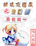 《被遗忘国度之旅游团》（校对版全本）作者：流浪的马儿 百度云txt全集下载 封面
