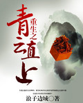 《重生之青云直上(重生之官场鬼才)》(校对版全本)作者:浪子边城 百度云txt全集下载 封面