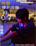《那些惨不忍睹的日子》（校对版全本）作者：宋鼎舜 百度云txt全集下载 封面